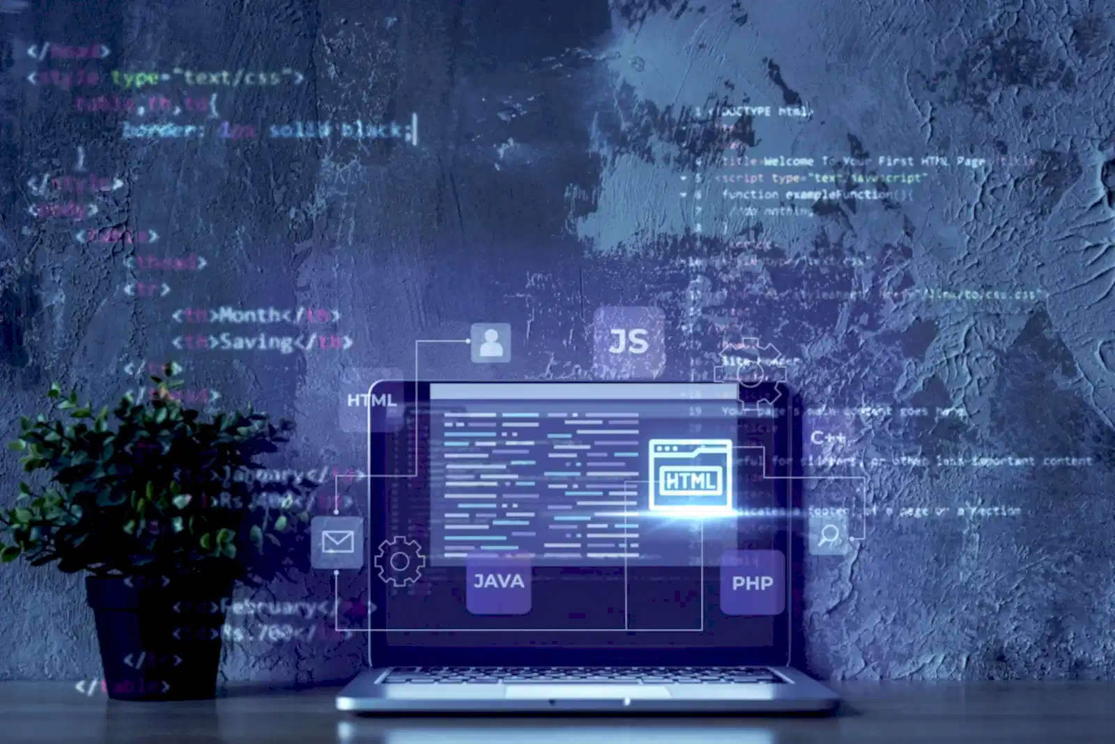 Web Yazılım